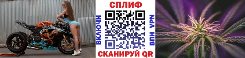 Купить закладки  Горно-Алтайск  Каннабис MAZAR 